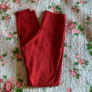 Colorful koala leggings